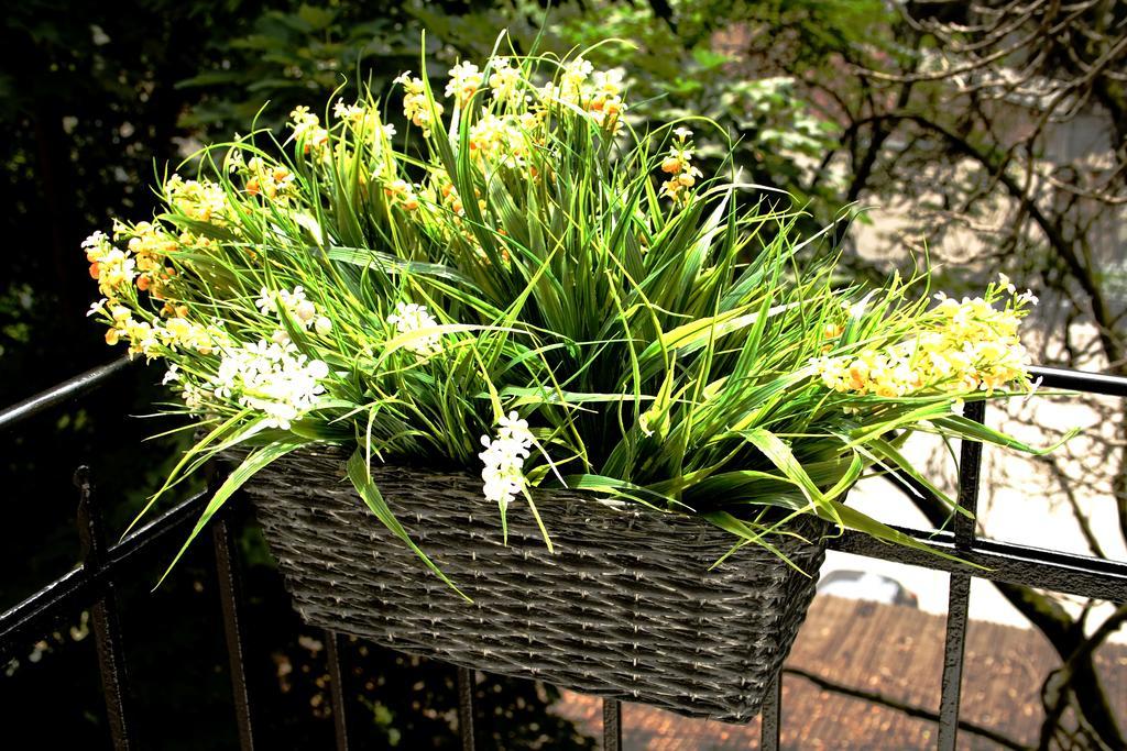 Flowers City Center Apartments Zagreb Kamer foto